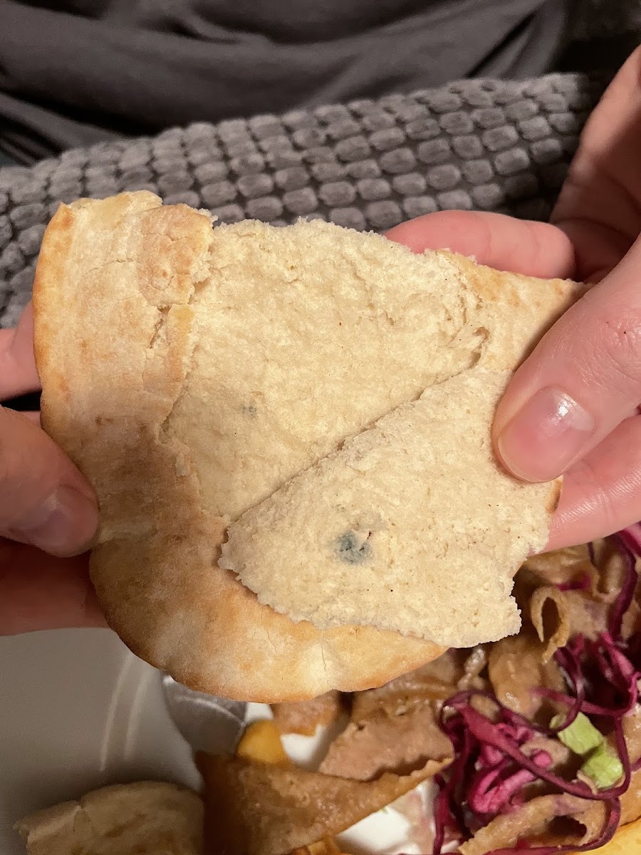 Antoni's Darlington Photos 2